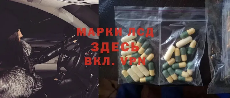 ЛСД экстази ecstasy  Новозыбков 